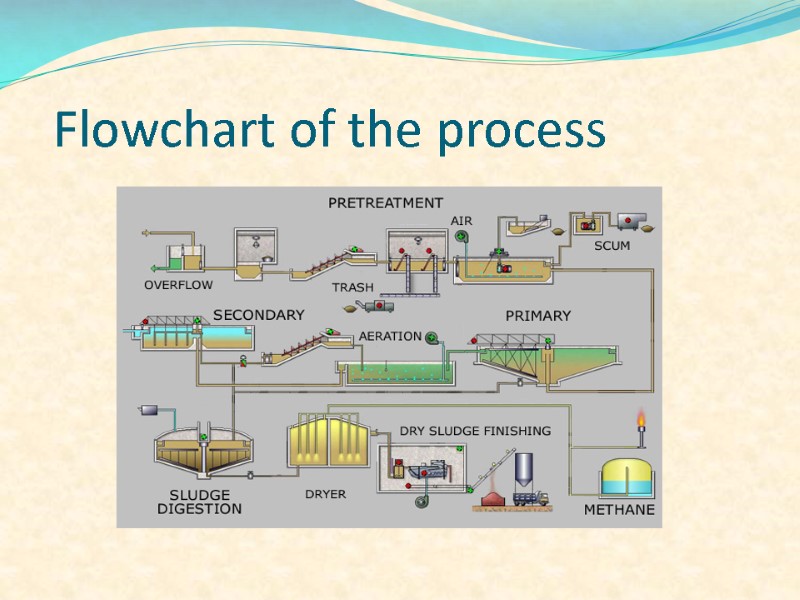 Flowchart of the process